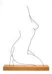 Wire Figure #14